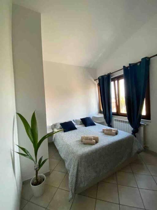 Appartamento Centrale Fiumicino Ngoại thất bức ảnh